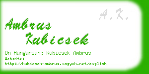 ambrus kubicsek business card